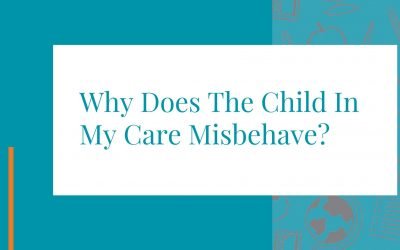 Why Does The Child In My Care Misbehave?